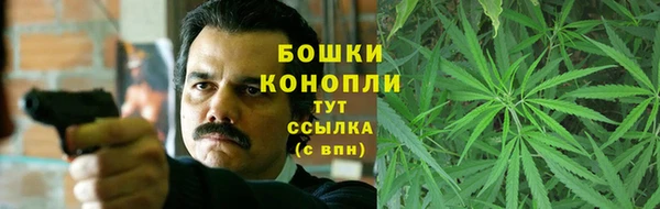 дмт Пестово