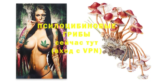 ешки Покров