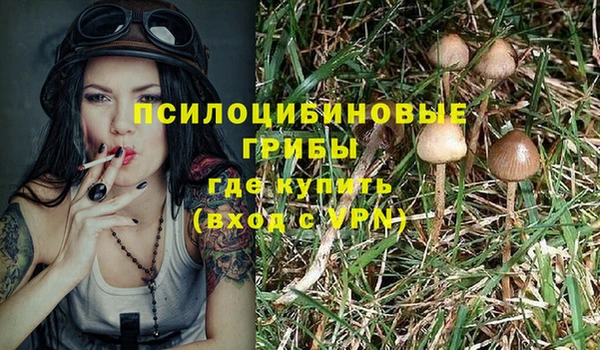 твердый Покачи